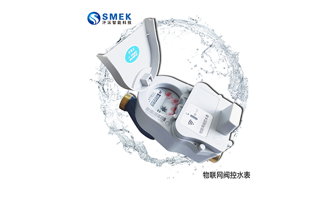 山東物聯(lián)網(wǎng)水表科學(xué)計(jì)量服務(wù)于民